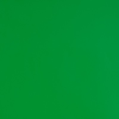 MG2362 - Vert Nénuphar Brillant 2